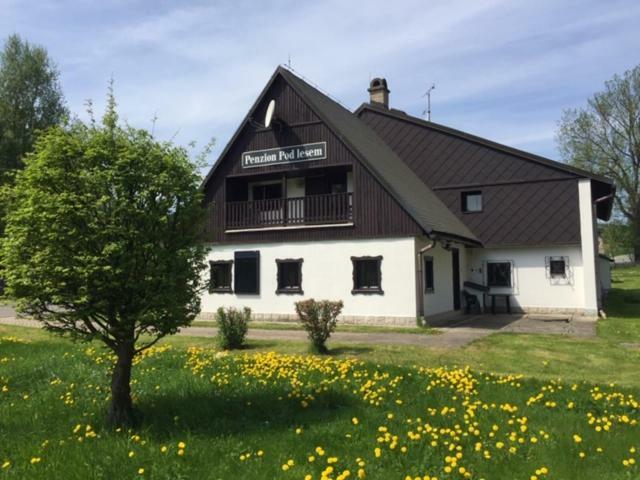 Penzion Pod Lesem Hotel Hodkovice Kültér fotó