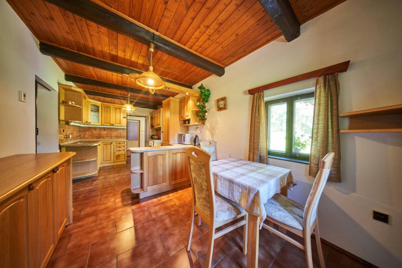 Penzion Pod Lesem Hotel Hodkovice Kültér fotó